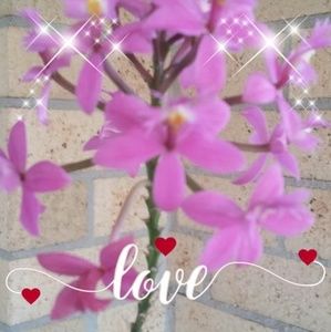 Meet your Posher, Diane